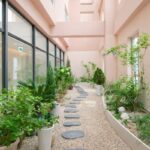 건강지능을 반영한 병원 인테리어(여성병원 바이오필릭 디자인)