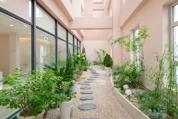 건강지능을 반영한 병원 인테리어(여성병원 바이오필릭 디자인)