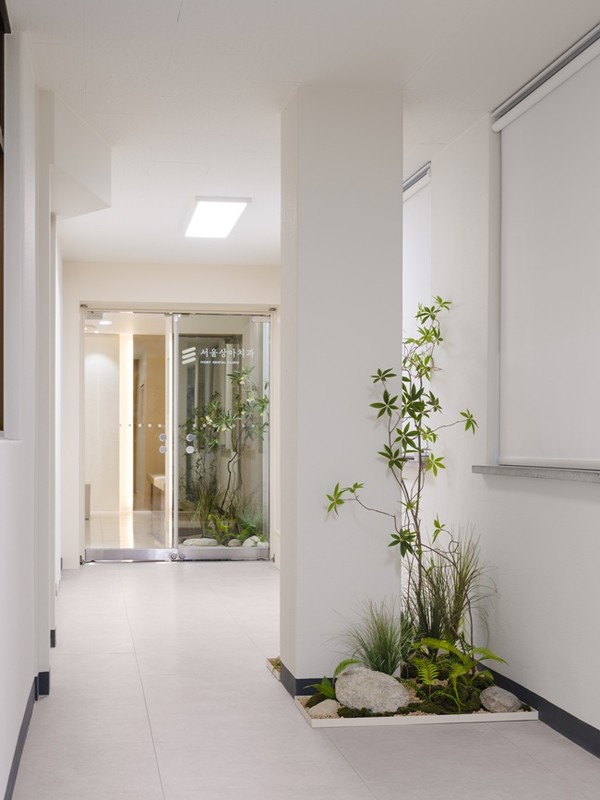 치과 인테리어 시공 사례 - 복도 실내 조경